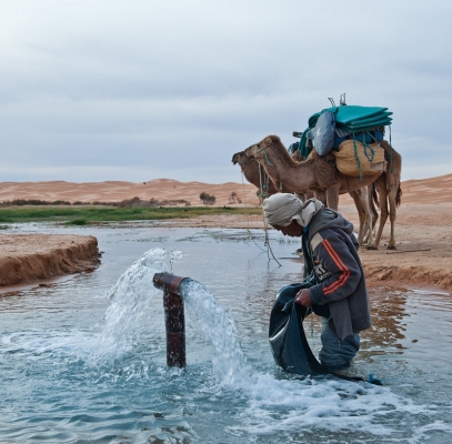 Quelle in der Wüste - Tunesia